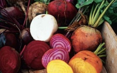 Staying Happy, Healthy, and Hydrated this Fall